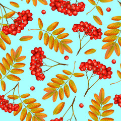 Seamless vector autumn pattern with rowan branch, orange leaves and red berries. Realistic 3d mesh rowan branch seamless vector autumn pattern. Fall colorful floral background. Vector illustration