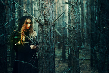 Fototapeta premium Halloween. beautiful girl in a black dress in the forest