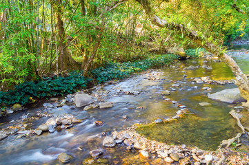 Mountain river in Khao Sok National Park in Thailand