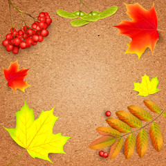 Banner on a crafting paper with maple autumn leaves and rowan branches with ashberry . Autumn maple leaf and rowan branches with ashberry on a crafting paper. Vector illustration