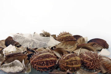 CHESTNUTS AND LEAVES