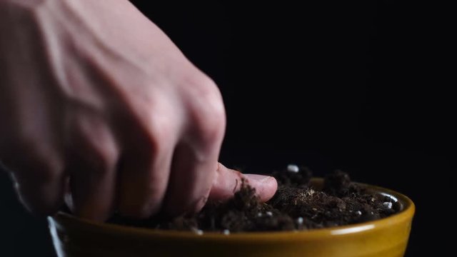 Man hands planting bitcoin.