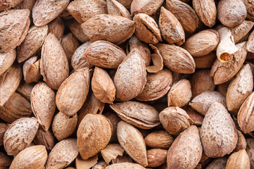 almonds in a shell