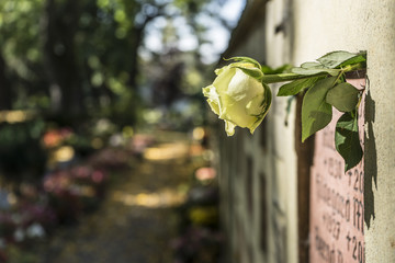 graveyard