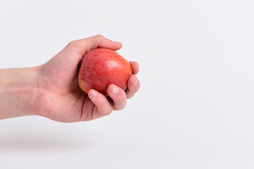 Male hand holds light red apple. Apple on light background