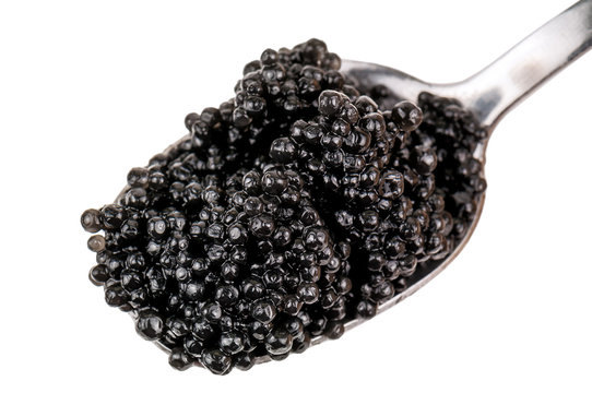 black caviar isolated