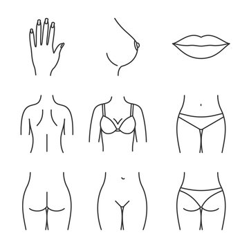 Female body parts linear icons set
