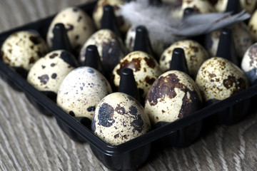 Obraz premium Quail eggs