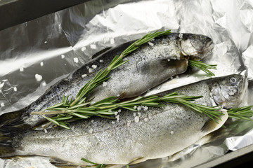 Raw whole trouts. Seafood concept