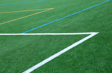 Fußball Rasen WM Weltmeisterschaft