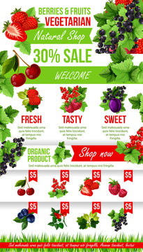 Vector poster of fresh garden berries market sale