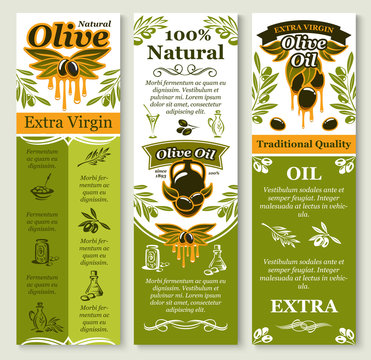Vector olives banners for organic olive oil