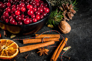 Ingredients for Christmas, winter baking cookies. Gingerbread, fruitcake, seasonal drinks. Cranberries, dried oranges, cinnamon, spices on a black stone table, copy space