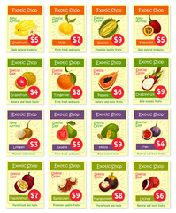 Vector price cards for tropical exotic fruits