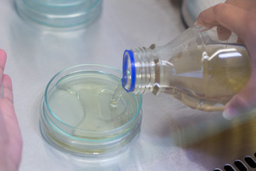 Scientist performing microbial tests in Biological safety cabinets lab.