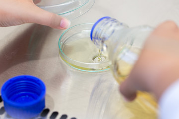 Scientist performing microbial tests in Biological safety cabinets lab.