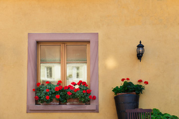 Fototapeta na wymiar Beautiful window in traditional french house in Colmar, Alsace