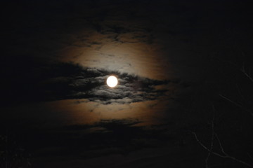 Obraz na płótnie Canvas Moon beautiful moon