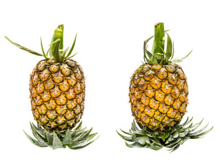 Ripe Pineapple fruit isolated on white background (clipping path included).
