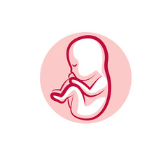 Human fetus hand-drawn vector illustration isolated on white. New life conceptual symbol.