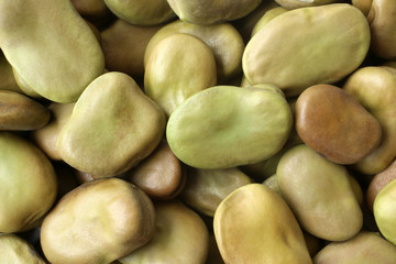 Dried fava beans, for backgrounds or textures