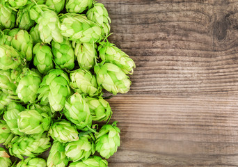 lush hop on wooden background
