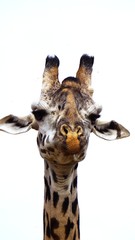 Schau mir in die Augen