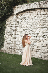 Fototapeta na wymiar Beautiful girl, model with long hair posing in park near great wall. Krakow Vavel