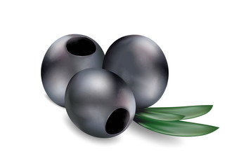 Ripe black olives with leaves on a white background