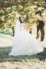 Fototapeta na wymiar Beautiful luxury bride in elegant white dress