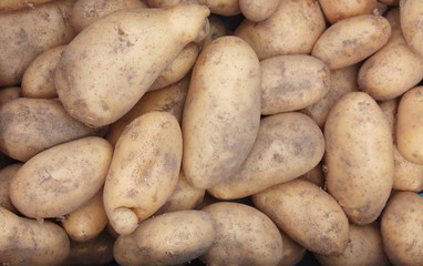 Group of potatoes sold in a food market 