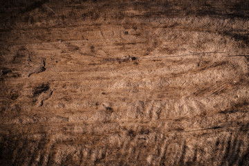 Old grunge dark textured wooden background,The surface of the old brown wood texture