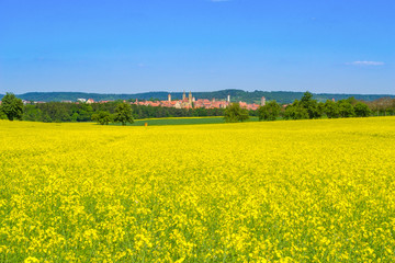 Yellow Rapeseed Field and cityscape of Rothenburg ob der Tauber