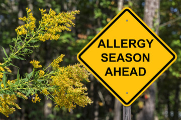 Caution - Allergy Season Ahead - obrazy, fototapety, plakaty
