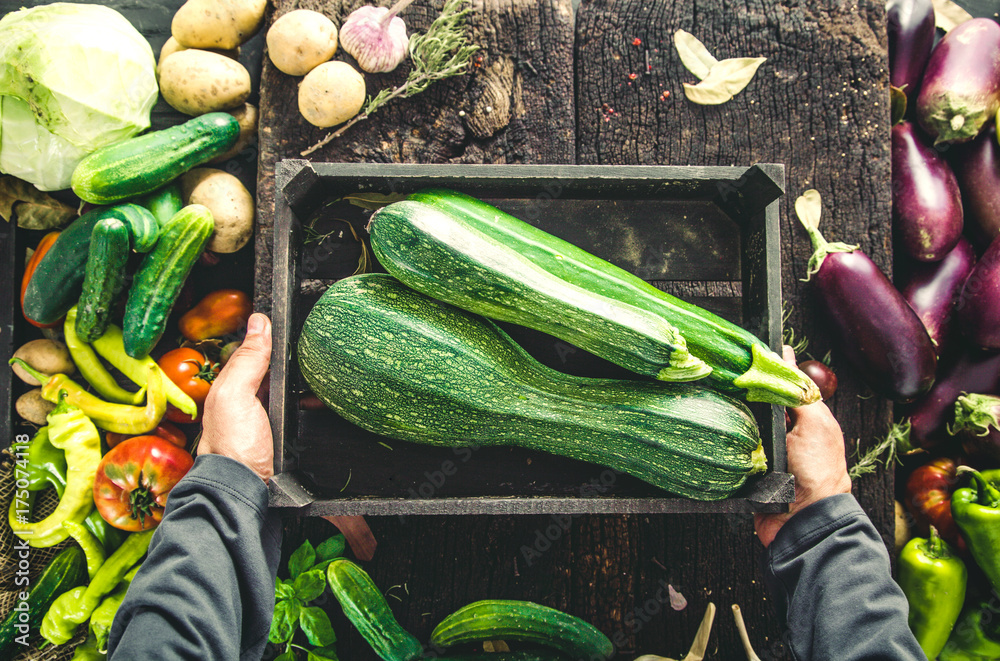 Canvas Prints Farmer with zucchini