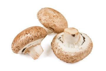 three raw common mushrooms