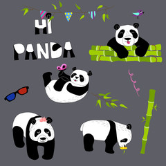 Cute and funny panda with accessories set. Doodle hand drawn style.