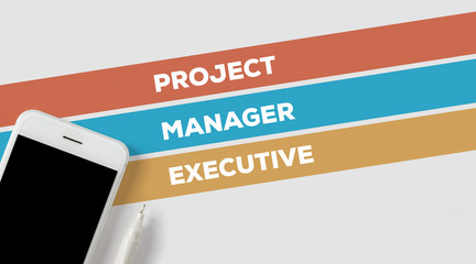 PROJECT MANAGER EXECUTIVE CONCEPT