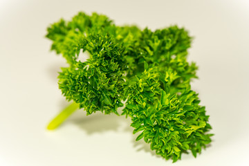 Parsley on white - grey background