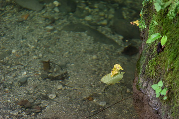 Waterfalls and water games in the Julian Alps