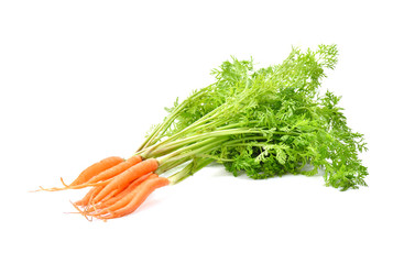 baby carrot on white background