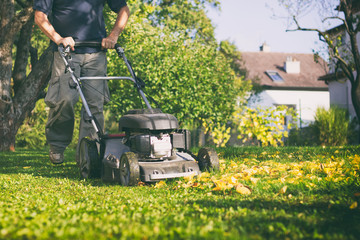 Mowing the grass with a lawn mower in early  autumn 