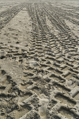 tire tracks on the sand of the beach	