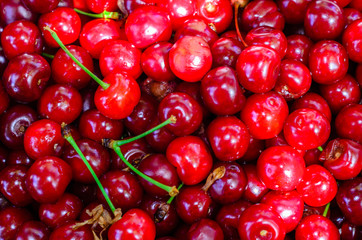 Background of fresh ripe cherries