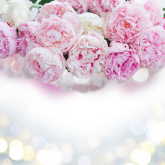 Fresh peony flowers colored in shades of pink close up border, copy space on glitterng bokeh background