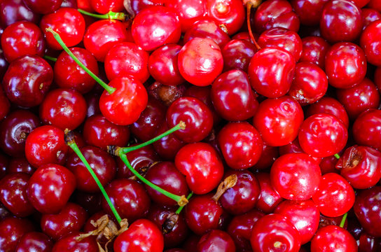 Background of fresh ripe cherries