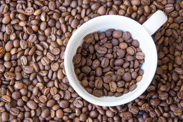 Arabica Coffee beans. White cup with coffee beans inside and background
