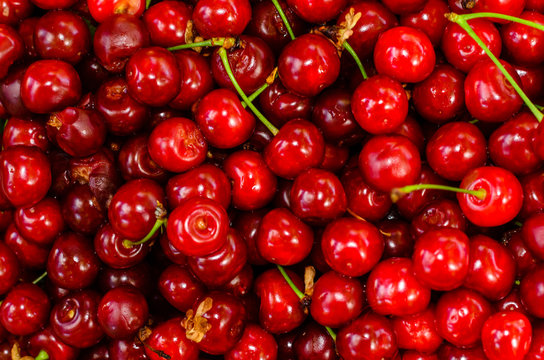 Background of fresh ripe cherries