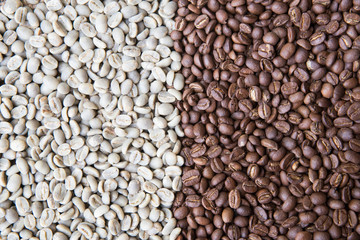 Mixture of different kinds of coffee beans. Coffee background