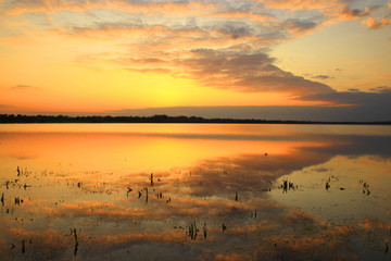 Sunset landscape in flooded field, Nature park Lonjsko polje, Croatia